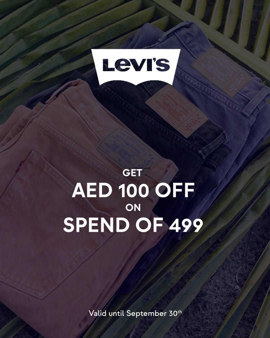 نشرة Levi's — Levi's Offer