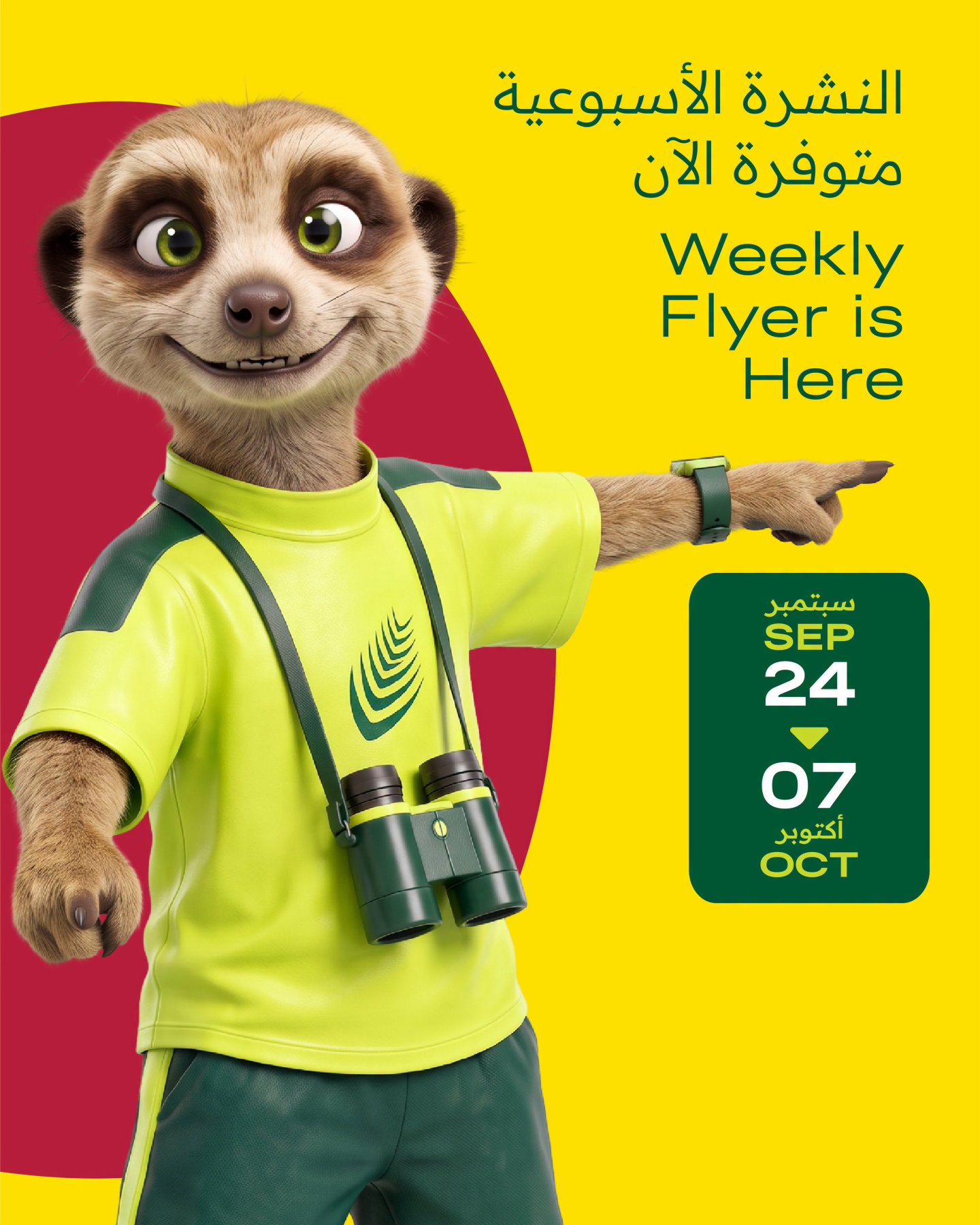 نشرة Al Meera — Weekly Offers, Vol 3