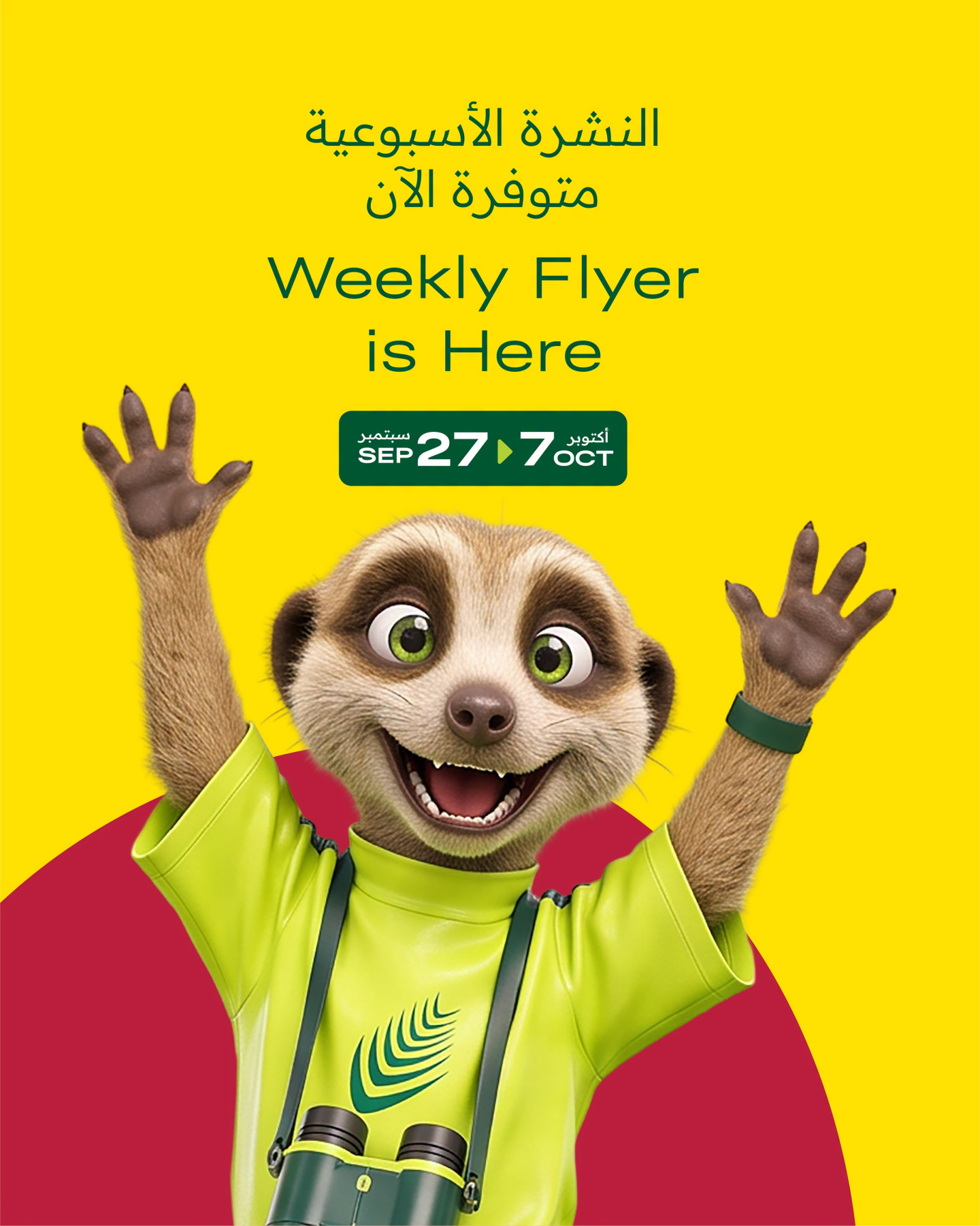 نشرة Al Meera — Weekly Offers, Vol 6